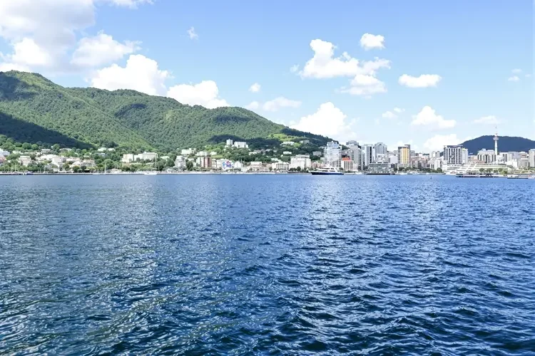 五一黑料 - 经纪公司内部邮件泄露，艺人分成比例惊人曝光